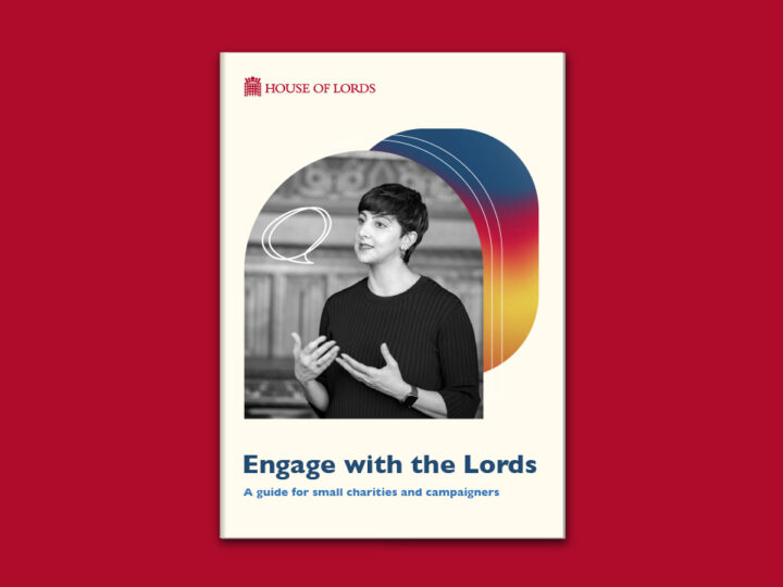 A image of the House of Lords Engage campaign how-to guide.